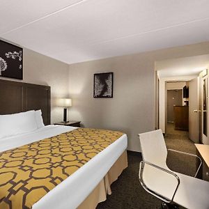One-Bedroom Superior King Suite Non-Smoking